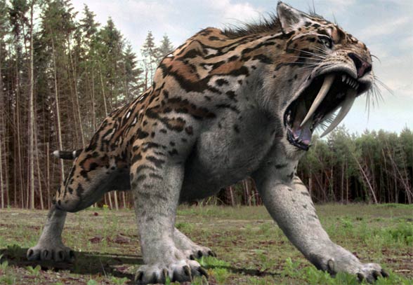 Saber-toothed_tiger_Smilodon_2